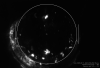 34012_1748813298_TCam_ETMX_00111_2025_0529_052125_lines.png