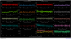 34073_1749103718_6840fdea1fd866006cceefec.png